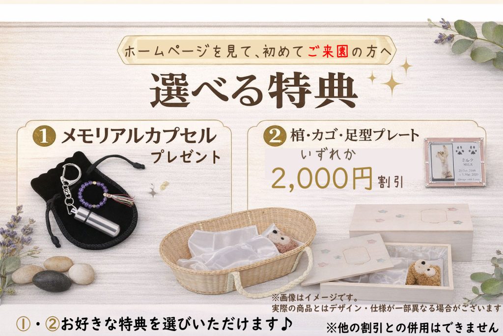 初めてご来園の方への特典