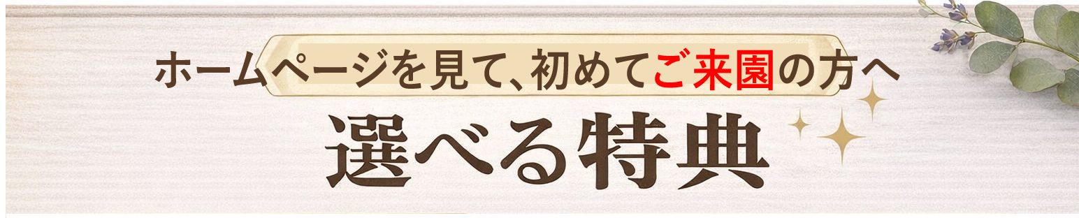 初めてご来園の方への特典